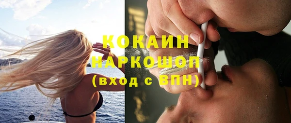 шишки Белокуриха