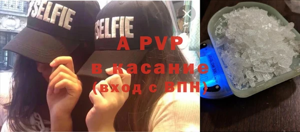 шишки Белокуриха