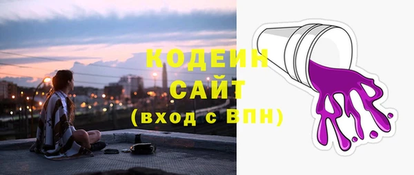 шишки Белокуриха