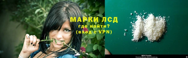 шишки Белокуриха