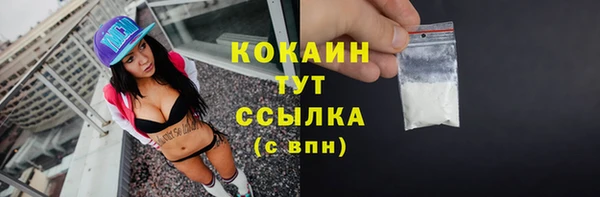 шишки Белокуриха
