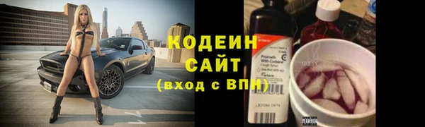шишки Белокуриха