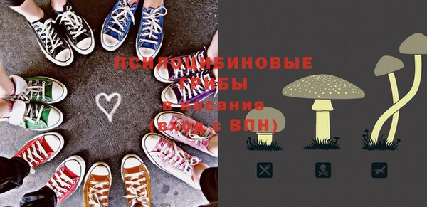 шишки Белокуриха
