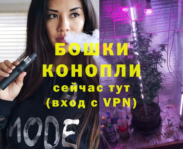 шишки Белокуриха